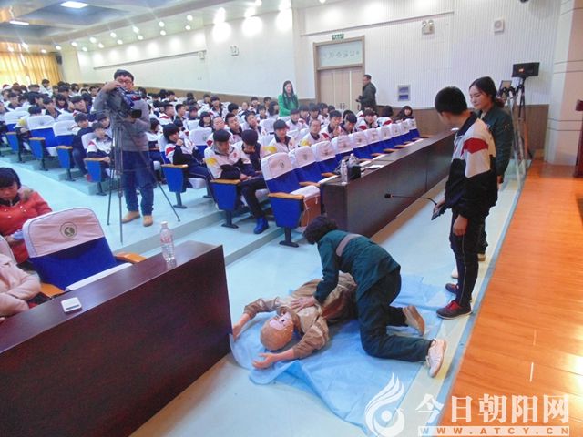 点击查看大图