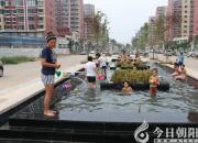 百姓点赞：新柳城小区喷泉真好