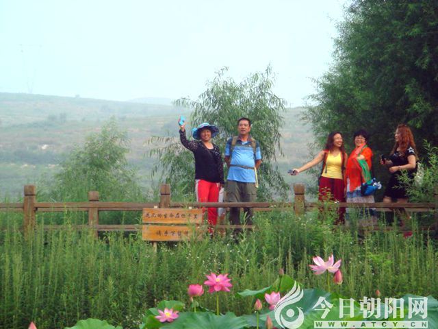 点击查看大图