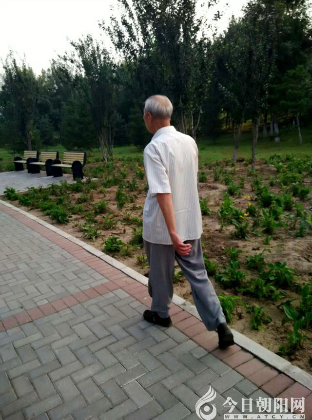 点击查看大图