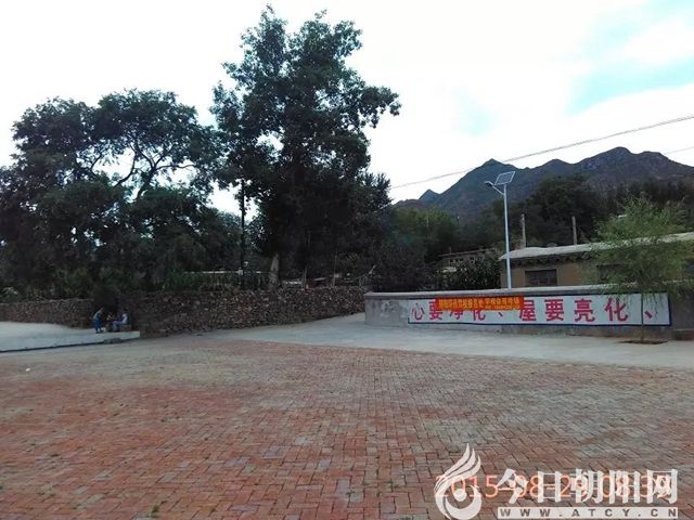 点击查看大图