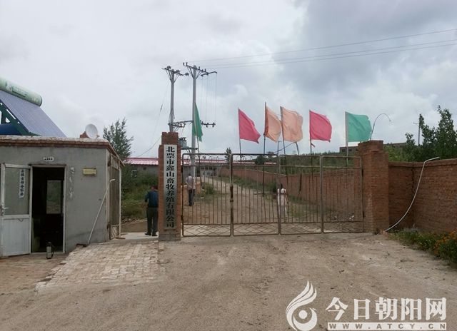 点击查看大图