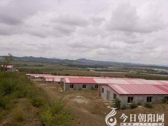 点击查看大图