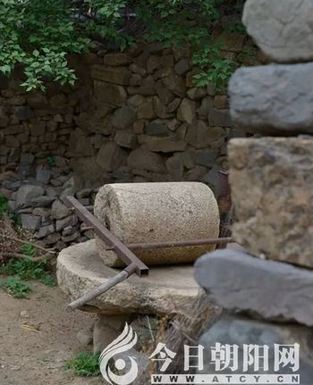 点击查看大图