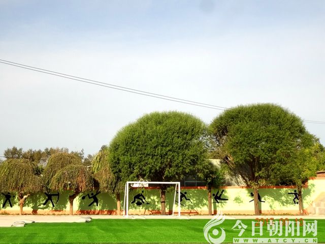 点击查看大图