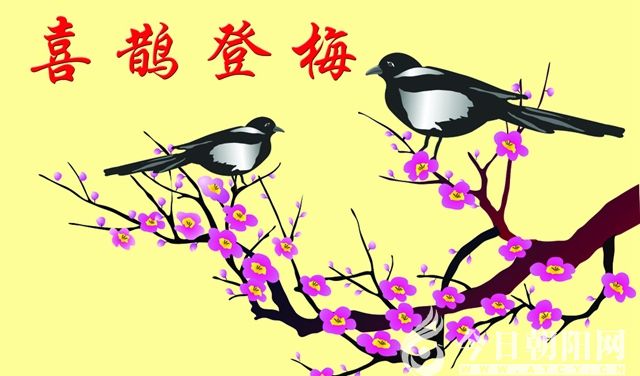 【今日朝阳网】喜鹊