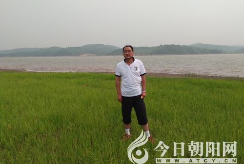 点击查看大图