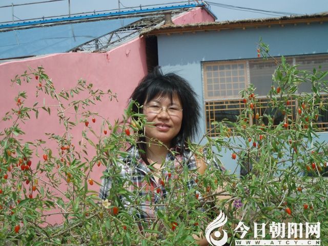 点击查看大图