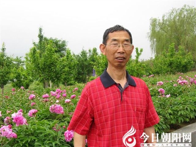 点击查看大图