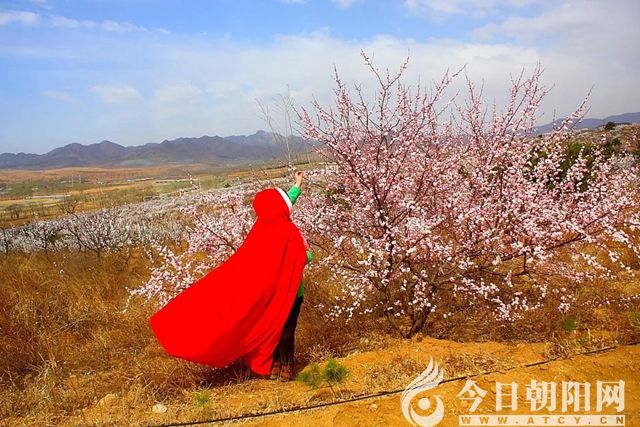 点击查看大图