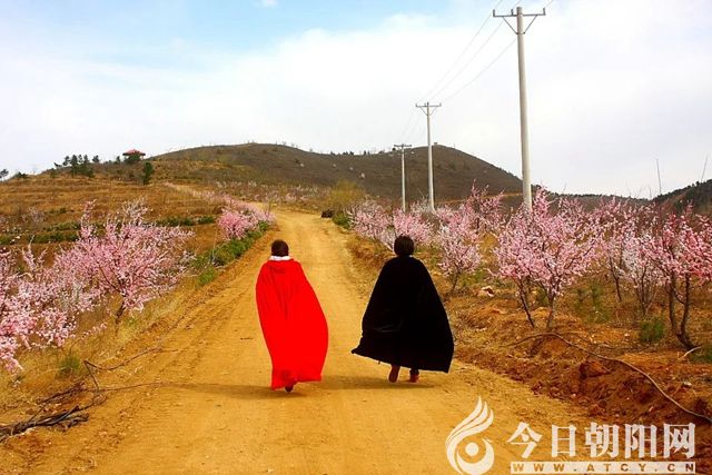 点击查看大图
