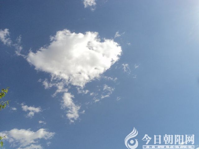 点击查看大图