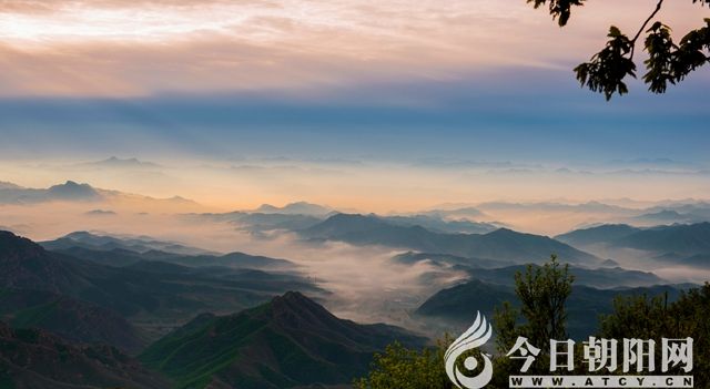 点击查看大图
