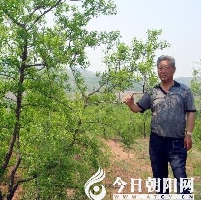 点击查看大图