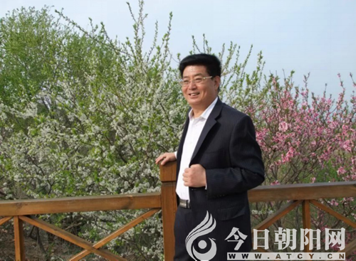 点击查看大图