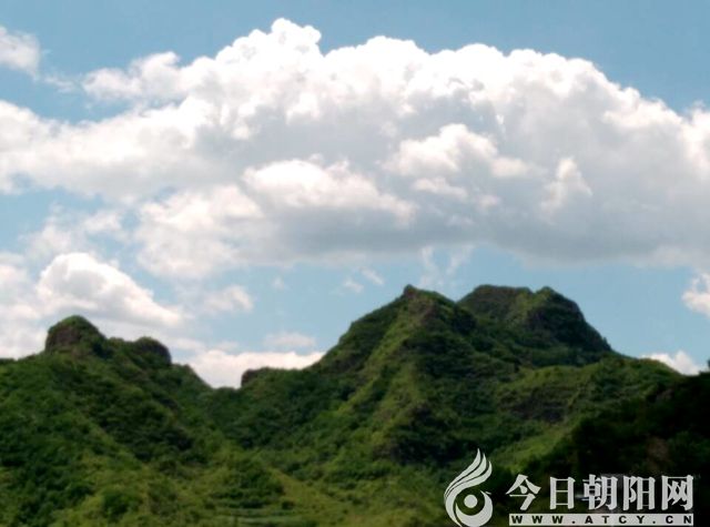 点击查看大图