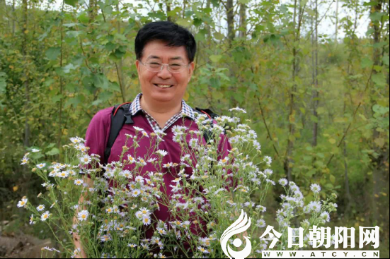点击查看大图