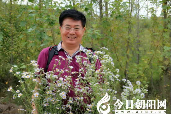 点击查看大图