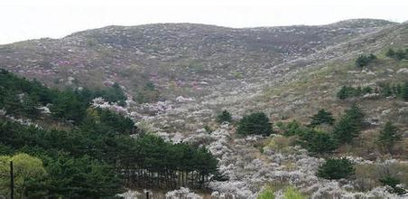 【今日朝阳网】题辽宁省朝阳县劈山沟风景区楹联（李建军）