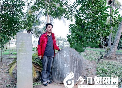 点击查看大图