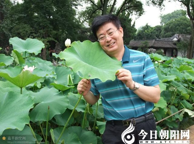 点击查看大图