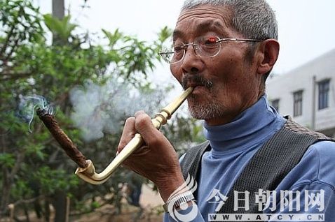 叶子烟