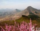 【今日朝阳网】沧桑大阳山，老家门口唱大戏（高学敏）