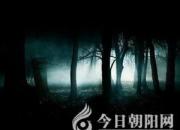 【民间传说】金先生走夜路（王玉华）