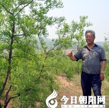 点击查看大图