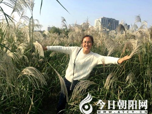 点击查看大图