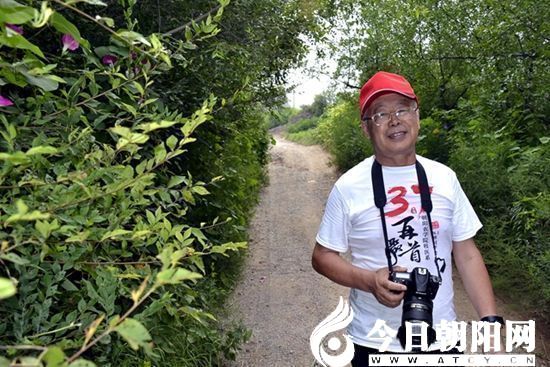 点击查看大图