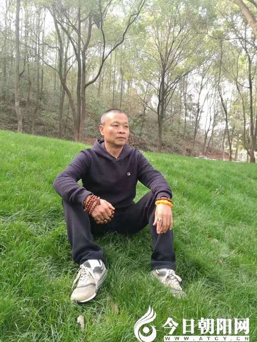 点击查看大图