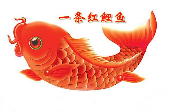 【今日朝阳网】一条红鲤鱼(王学英)