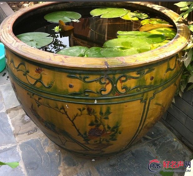 怀念老水缸(时春华)