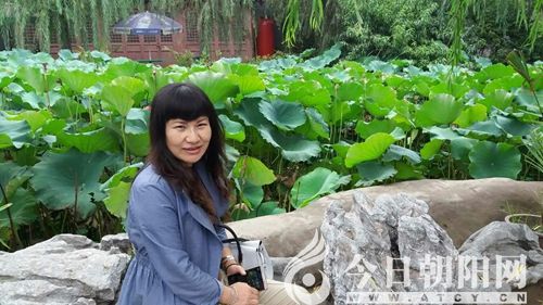 点击查看大图