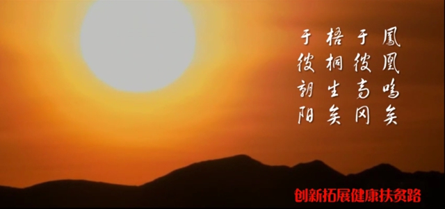 点击查看大图