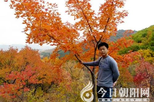 点击查看大图