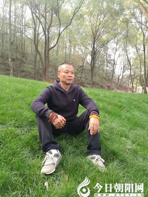 点击查看大图