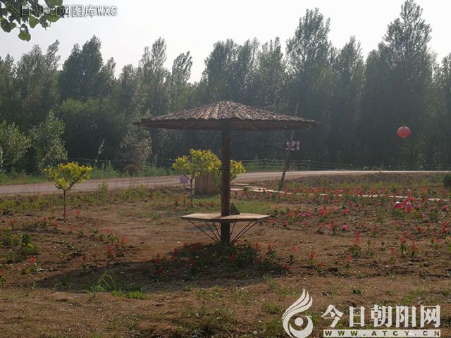 驴园撷趣之四