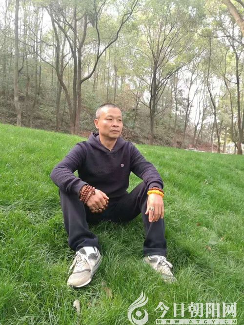 点击查看大图