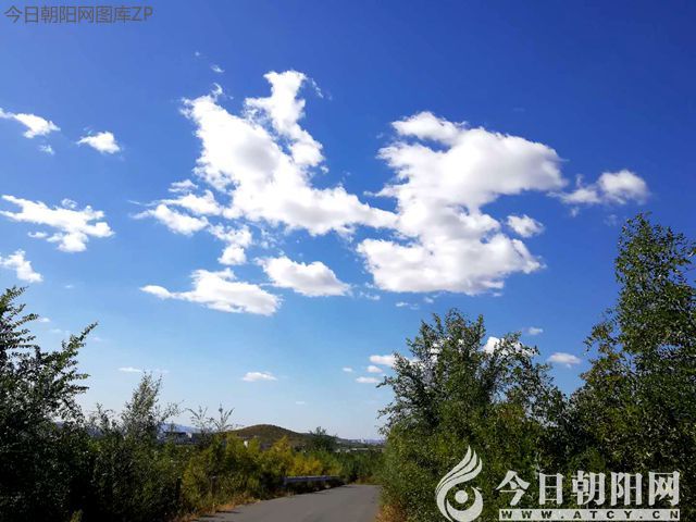 驴园撷趣之十五