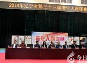 一“网”情深聚朝阳（立军）