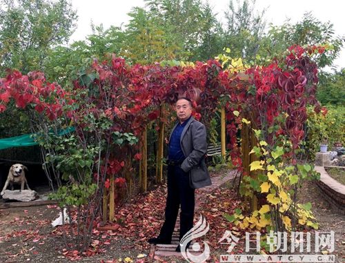 点击查看大图