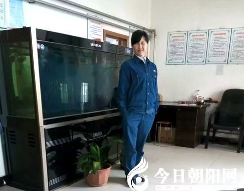 点击查看大图