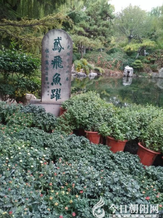 点击查看大图