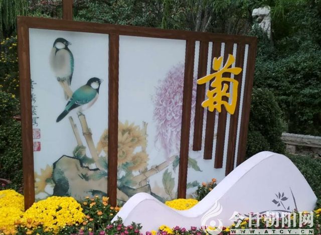 点击查看大图