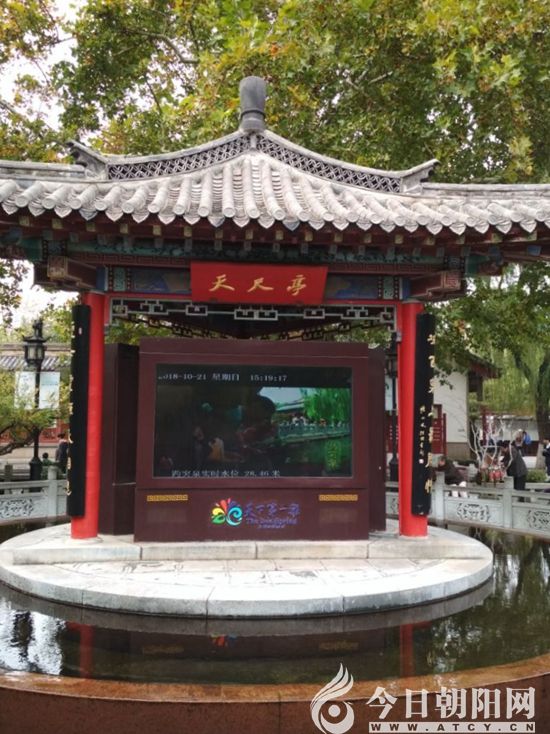 点击查看大图