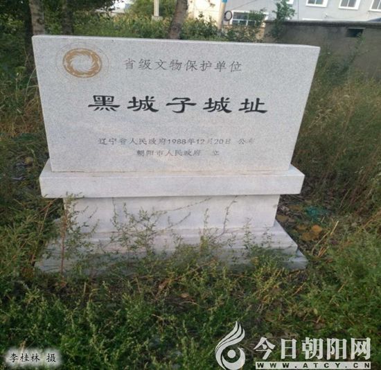 美食或许真的有记忆,每到看到或吃到烟药时,便会不由自主想起黑城子