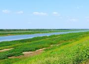 江河万里海湖浑——淮河（陈玉民）