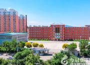 开展精准校本研训，打造教师成长梯队（郭淑芳）